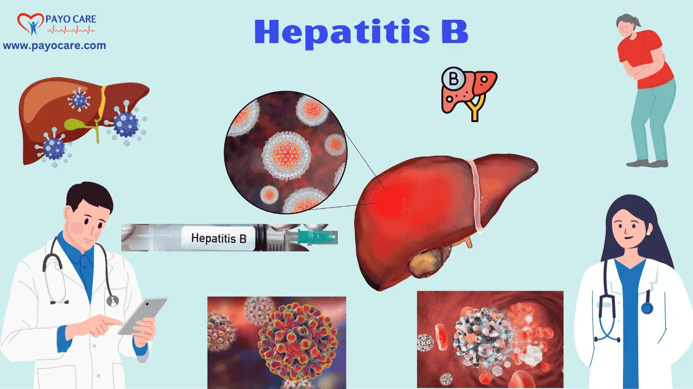 Hepatitis B: Causes, Symptoms, Treatment & Prevention
